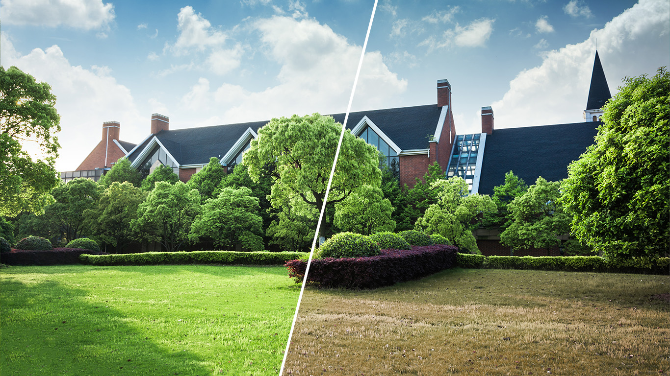 Yardful Before & After Spotlights: Real Yards, Real Results